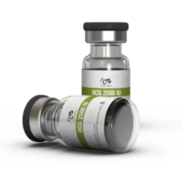 HCG 2500 IU (Human Chorionic Gonadotropin) | Dragon Pharma