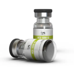 HCG 5000 IU (Human Chorionic Gonadotropin) | Dragon Pharma