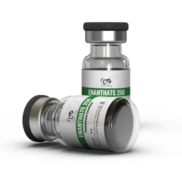 Enantat 250 – Testosterone Enanthate | Dragon Pharma Store
