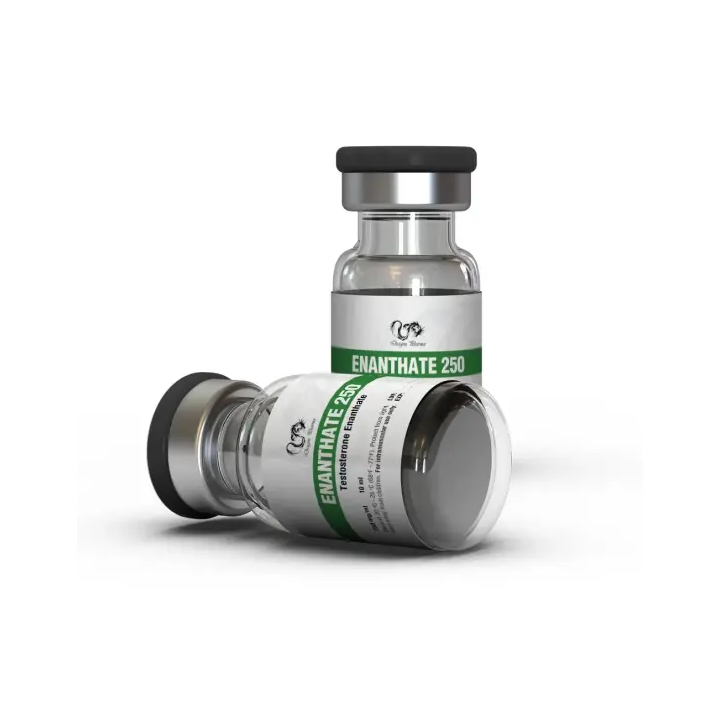 Enantat 250 – Testosterone Enanthate | Dragon Pharma Store